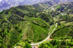 田庄乡：黑茶之乡 茶韵悠长