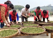 理论智库丨切实履行为党育人光荣使命