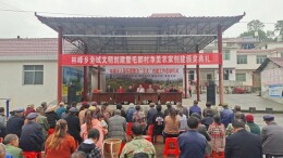 全域文明创建在行动丨凤凰县林峰乡：巩创同步共建净美农家