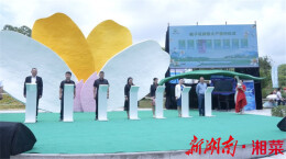 扶农助农，振兴乡村丨炊烟签约引进宁乡喻家坳栀子花