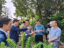 不打折扣 不讲价钱 全力推进违建墓地专项整治工作