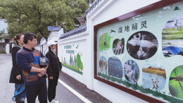 杏子铺镇：美丽屋场扮靓文旅小镇