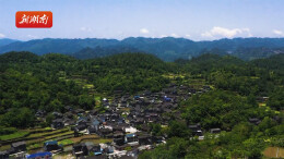 矮寨镇金叶村 发展正当时