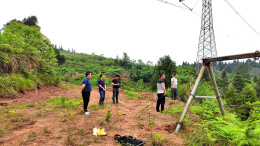 泸溪县小能溪村：治理耕地抛荒 唤醒“沉睡”田园