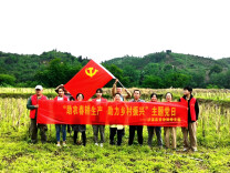 全域文明创建在行动丨泸溪县发改局：“红马甲”田间地头助农生产解民忧