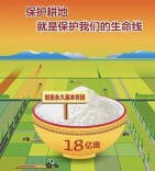 紧握监督执纪“铁盾” 严守耕地保护红线
