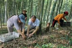 双牌何家洞镇：竹乡党校开“好”课 农村党员家门口充电忙