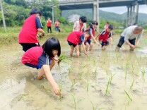 农技劳动悦享成长