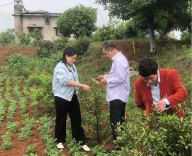 娄星区：科技特派员助力乡村振兴