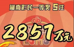 2857万元！长沙又有人中大奖