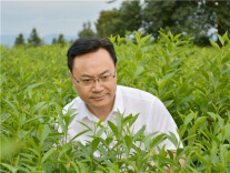 长沙院士“一桌菜”⑥丨心系湖南茶，以科技创新推进中国茶复兴  ——访中国工程院院士、湖南农业大学学术委员会主任 刘仲华
