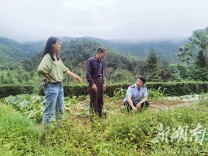 韶山市税务局：消费帮扶助力乡村振兴