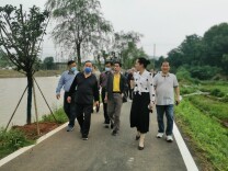 娄星区组织离退休干部开展端午节活动