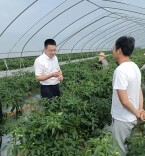 现场办公，助企纾困，岳阳市退役军人事务局帮扶退役军人实体企业