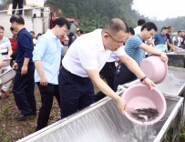 2022年永州市湘江源水生生物增殖放流活动在双牌月湖举行 放流400万尾鱼苗