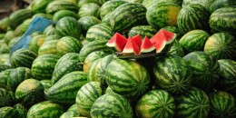 双牌县泷泊镇：大棚瓜果种出好“钱景”