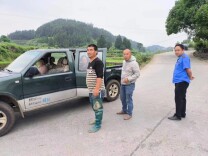 全域文明创建在行动丨凤凰县落潮井镇：持续开展安全劝导，净化道路交通环境