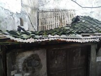 5A创建在行动丨凤凰县沱江镇三王阁社区：拆除破旧危房，保障居民出行安全