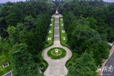 开慧镇：“四色产业”点亮乡村之美