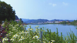 杏子铺镇：联村建绿出硕果 璀璨明珠耀湘中