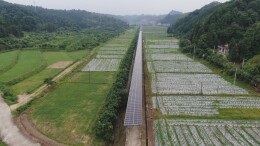 金紫仙镇源田村：做活土地文章 推动富民强村