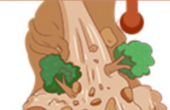 图解｜强降雨再袭，山洪防范“五个5”请收好！