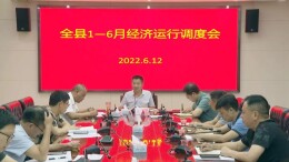 全县1-6月经济运行调度会召开