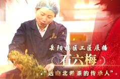 “楼区工匠” | “远山北港茶的传承人”石六梅