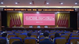 全县推行企业服务专员和项目服务专员工作动员部署会召开