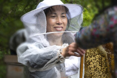 小山村的“甜蜜事业”