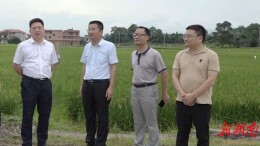 市农业农村局来安调研