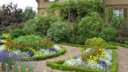 散文丨父亲的小花园