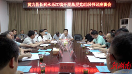 黄力到永乐江镇调研基层党组织整建提质工作