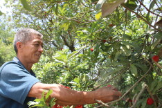 岳阳经开区：产业多点开花引领乡村振兴