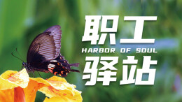 这里有一份独处清单，让人悄悄逆袭