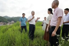 刘杰到道童村调研指导乡村振兴
