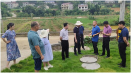 杉山镇：人居环境整治显成效 乡村颜值大提升