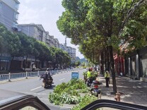 文明创建在行动丨凤凰：修剪遮挡标牌树木  助力文明城市创建