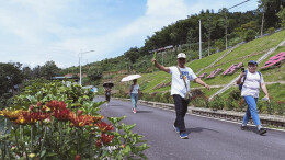 杏子铺镇：修好致富路 业兴幸福来
