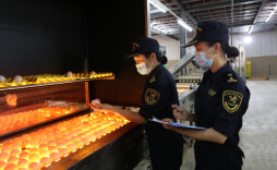 湖南鲜活产品丰富香港餐桌 ​25年来累计供港活猪450余万头