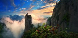 暑期去哪？羊狮慕首届高校乐队人气争霸赛等你来