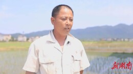 字字真情催奋进！习近平给种粮大户的回信在安仁引发反响