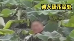 长沙一大爷采摘莲藕陷入淤泥 消防员“花式”救援