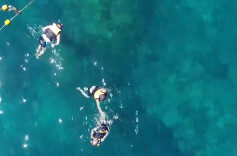 万花“瞳”｜防溺水特辑①溺水多发季，这些安全知识要牢记！