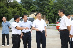 中南林业科技大学专家组一行来双调研竹木产业