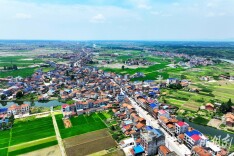 长塘镇：“路南粮仓”的振兴华章