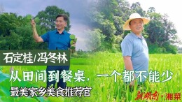 山水田园是底气，米其林大厨携手种植户推介家乡美食