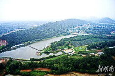 郭镇乡：在乡村振兴的田野上放歌