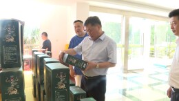 倾听企业呼声 全力帮扶企业化危为机走出新路子