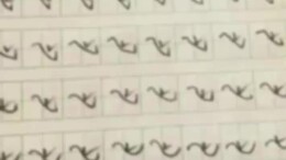 小学生写字“生动形象”，网友：很好，知道这个字咋来的了